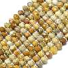 Natural Fossil Coral Beads Strands G-P573-A02-01-2