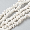 Natural Spiral Shell Beads Strands X-BSHE-I011-11C-1