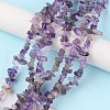 Natural Amethyst Beads Strands G-G0003-B14-2