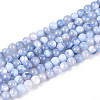 Dyed Natural Trochid Shell/Trochus Shell Beads Strands SSHEL-T017-13A-1