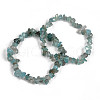 Unisex Chip Natural Apatite Beaded Stretch Bracelets BJEW-S143-54-1