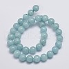 Natural & Dyed Malaysia Jade Bead Strands G-A146-10mm-A25-2