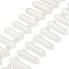 Natural Quartz Crystal Double Terminated Point Beads Strands G-H069-A13-01-2