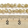 Natural Trochid Shell/Trochus Shell Beads Strands BSHE-Z005-04B-4