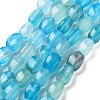 Natural Agate Beads Strands G-G172-01J-2