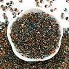 6/0 Spray Paint Glass Seed Beads X1-SEED-H003-11G-3