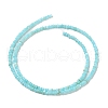 Natural Freshwater Shell Beads Strands SHEL-P017-01A-03-2