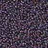 MIYUKI Round Rocailles Beads X-SEED-G007-RR1013-3