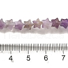 Natural Amethyst Beads Strands G-G085-B01-02-4