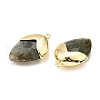 Natural Labradorite Pendants G-U019-03B-07-2