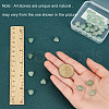 SUNNYCLUE Natural Green Aventurine Beads Strands G-SC0002-09D-3