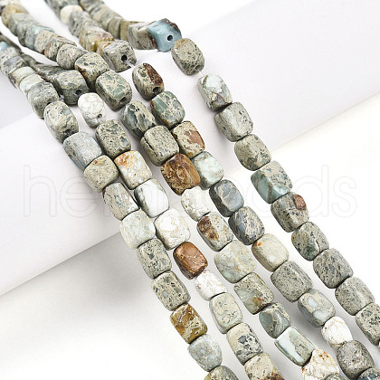 Natural Variscite Beads Strands G-N346-04A-11-1