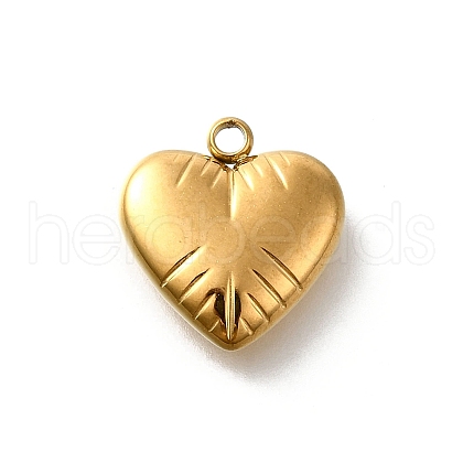 304 Stainless Steel Pendants STAS-V006-03G-06-1