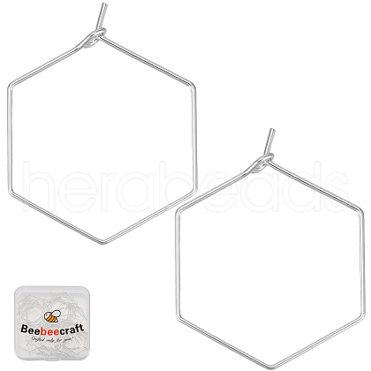 Beebeecraft 40Pcs Brass Earring Hooks STAS-BBC0016-25S-02-1