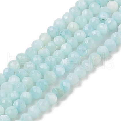 Natural Freshwater Shell Dyed Beads Strands SHEL-R100-12A-02-1