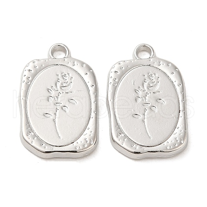 Alloy Pendants PALLOY-P303-22P-1