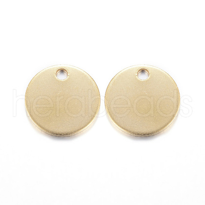 Ion Plating(IP) 304 Stainless Steel Charms X-STAS-G122-21G-1
