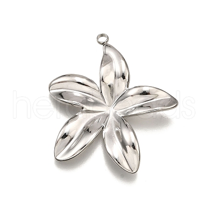 304 Stainless Steel Pendants STAS-M116-03P-1