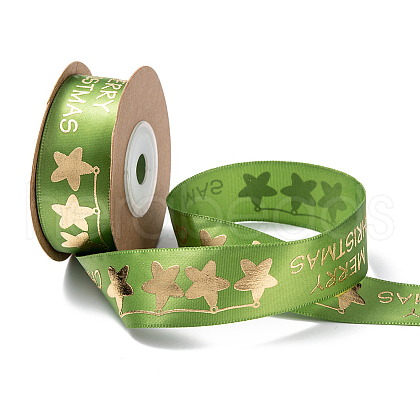 Polyester Ribbon SRIB-P018-B01-1