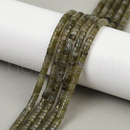 Natural Labradorit Beads Strands G-H230-78-1