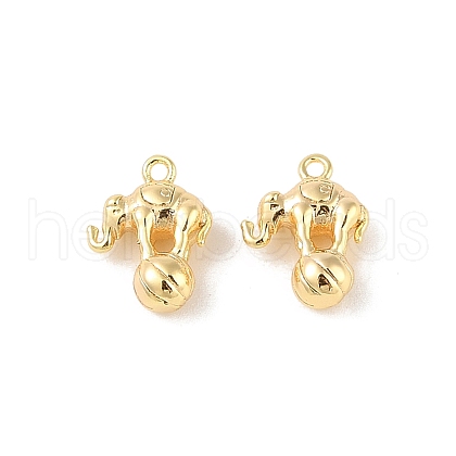 Brass Charms KK-Q816-28G-1