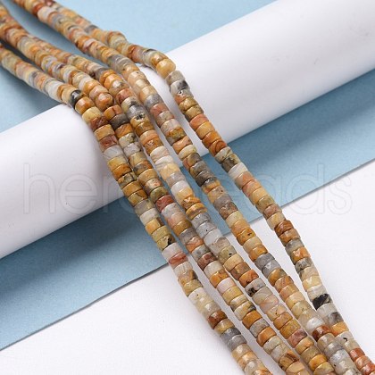 Natural Crazy Lace Agate Beads Strands G-P468-09-1