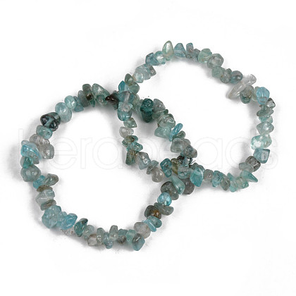 Unisex Chip Natural Apatite Beaded Stretch Bracelets BJEW-S143-54-1