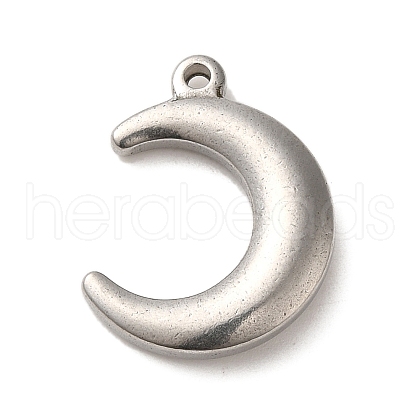 Non-Tarnish 304 Stainless Steel Pendants STAS-R223-18-1