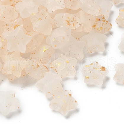 Gradient Color Transparent Acrylic Beads X1-OACR-M023-04E-1