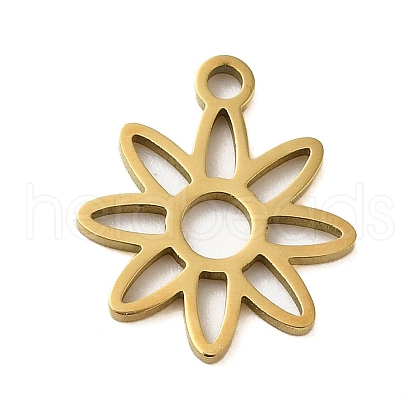 304 Stainless Steel Charms STAS-S123-01G-10-1