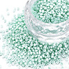 13/0 Glass Seed Beads SEED-T005-14A-A19-1