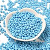 Baking Paint Glass Seed Beads X1-SEED-B001-02A-12-2
