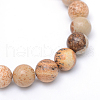 Round Natural Picture Jasper Bead Strands G-R345-4mm-19-2