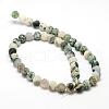 Natural Tree Agate Frosted Agate Round Gemstone Beads Strands G-O151-01-10mm-2