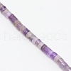 Natural Amethyst Beads Strands G-WH0009-16-2