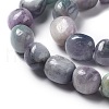 Natural Kunzite Beads Strands G-K331-005B-3