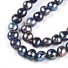 Natural Cultured Freshwater Pearl Beads Strands PEAR-N014-06G-07-4