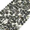Natural Australia Zebra Jasper Beads Strands G-C116-A60-02-2