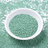 MIYUKI Delica Beads SEED-X0054-DB2125-2