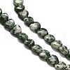 Natural Green Spot Jasper Beads Strands G-P575-C16-6mm-4