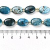 Natural Apatite Beads Strands G-H005-A03-02-5