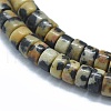 Natural Dalmatian Jasper Beads Strands G-F631-A06-3