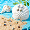   16Pcs 8 Styles Natural Abalone Shell/Paua Shell Pendants FIND-PH0008-89-5