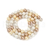 Shell Pearl Beads Strands BSHE-XCP0001-66A-2