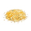 Plastic Sequins Beads PVC-R024-06A-2