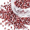 8/0 Glass Seed Beads SEED-S006-32-1