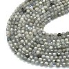 Natural Labradorite Beads Strands G-A260-A44-01B-3