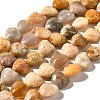 Natural Fossil Coral Beads Strands G-R190-10mm-45-2