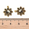 Ion Plating(IP) 304 Stainless Steel Enamel Charms STAS-M102-53G-3