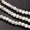 Natural Rainbow Moonstone Beads Strands G-RM2025-31-3mm-4